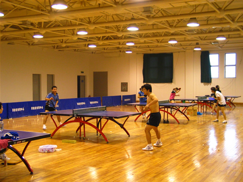 河南省体育中心乒乓球馆